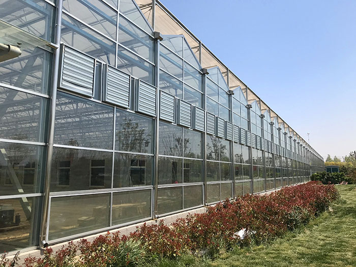 New upgrade of sunxfan Double Inlet Centrifugal fans: EC frequency conversion technology helps soilless cultivation greenhouses to achieve efficient ventilation and temperature control