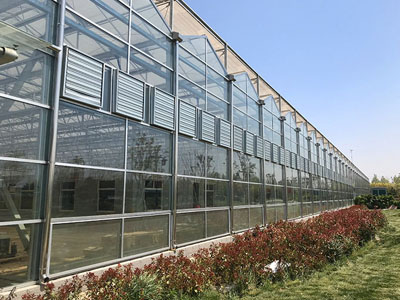 SunxFan双进口离心风机新升级: EC变频技术帮助无土栽培温室实现高效通风和温度控制