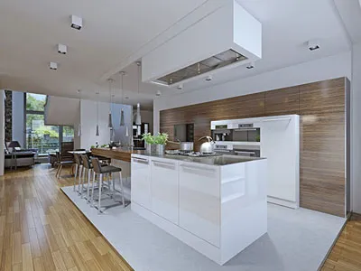 1000cfm-用于大风量抽油烟机用的双进风外转子离心风机