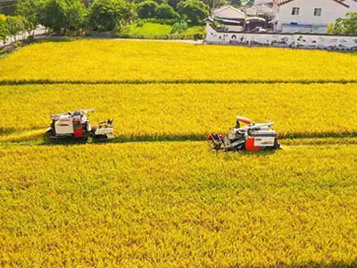 从棉花采摘到收获，顺炫风机的EC变频双进风涡流离心风机