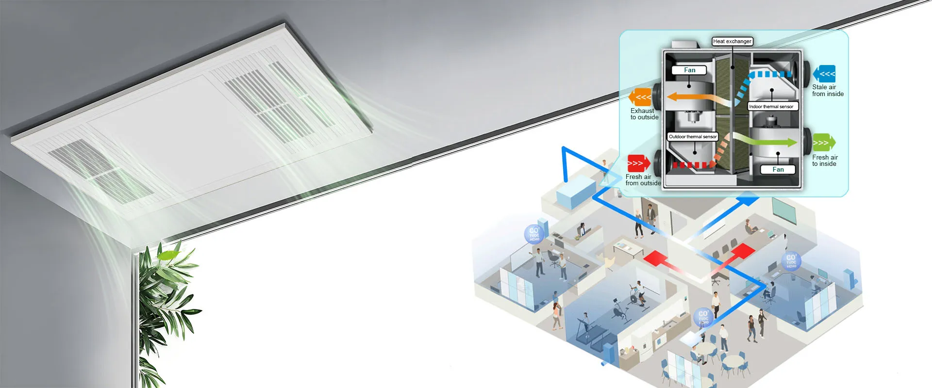 算法呼吸  风的进化